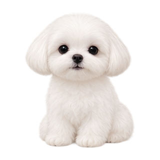 li-rou-rou